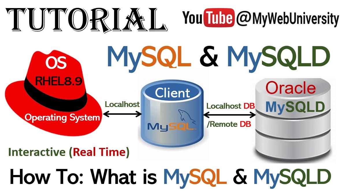 TN_MySQL-MySQLD